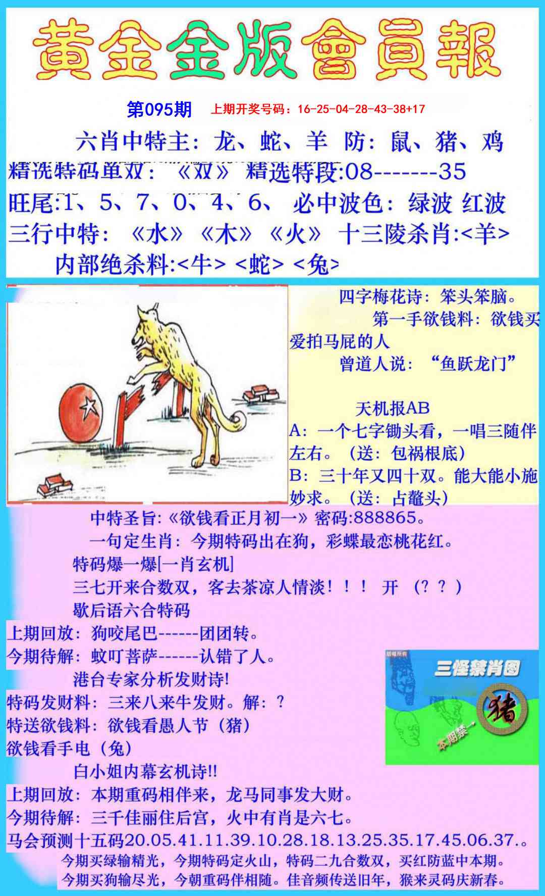 095期黄金金版会员报[图]