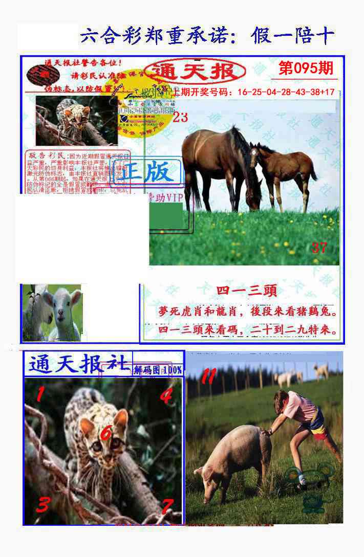 095期假一陪十通天报[图]